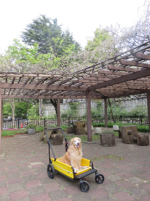 ファイル 5674-1.jpg