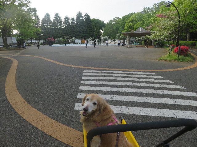 ファイル 5674-2.jpg