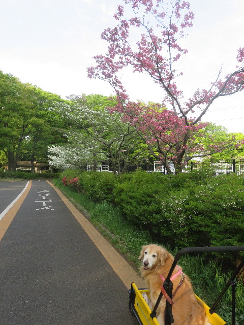 ファイル 5674-3.jpg