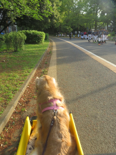 ファイル 5674-5.jpg