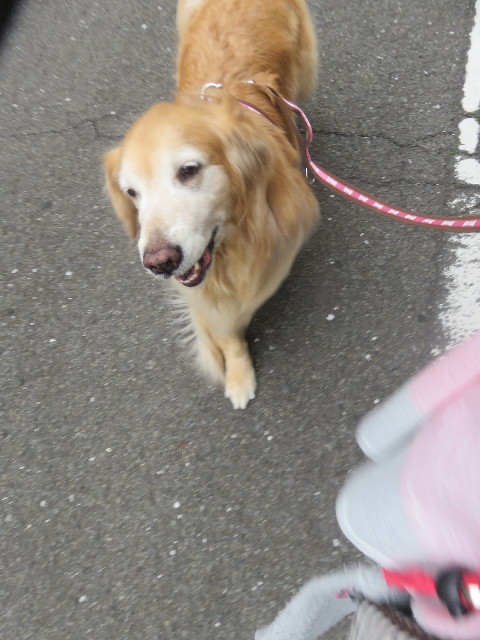 ファイル 5675-1.jpg