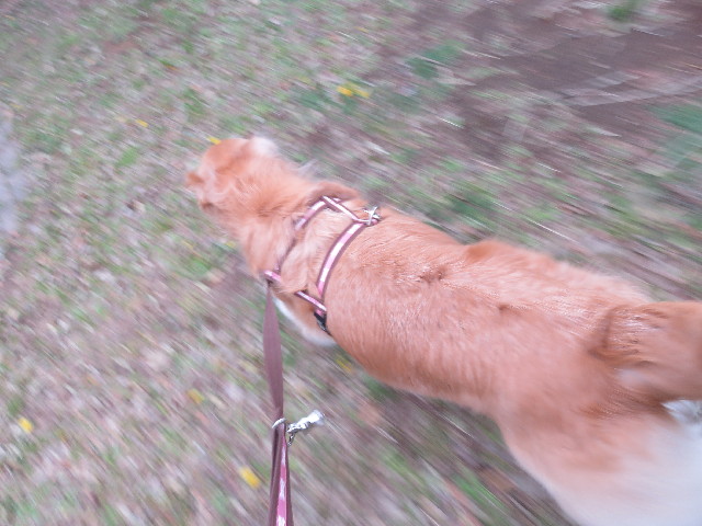 ファイル 5675-3.jpg