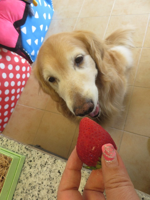 ファイル 5677-4.jpg