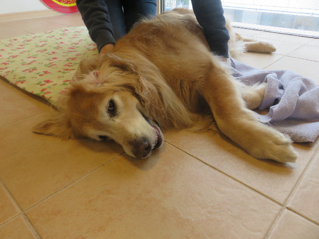 ファイル 5678-2.jpg