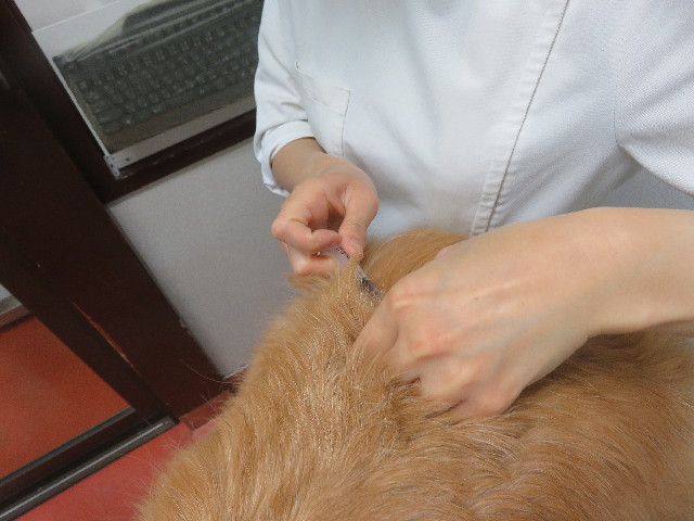 ファイル 5678-3.jpg