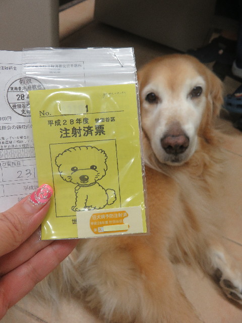 ファイル 5678-4.jpg