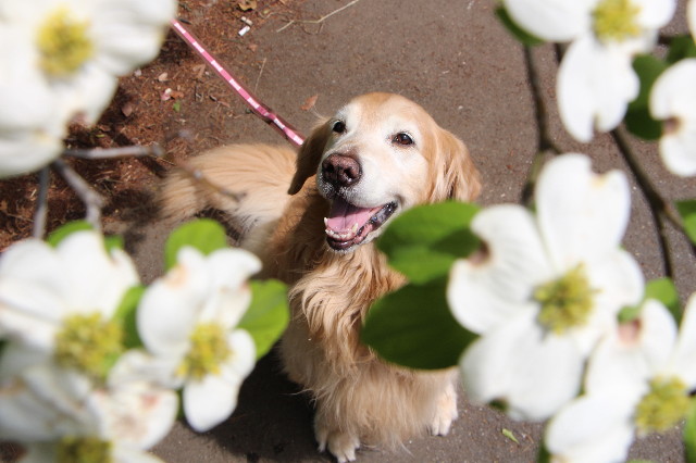 ファイル 5683-4.jpg