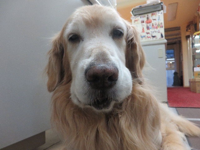 ファイル 5683-5.jpg