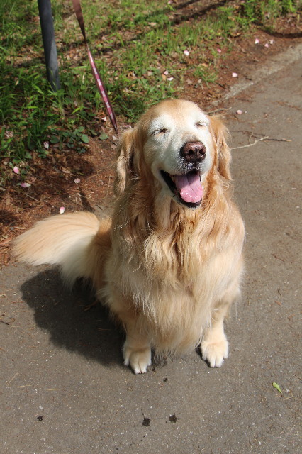 ファイル 5684-3.jpg