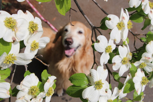 ファイル 5684-4.jpg