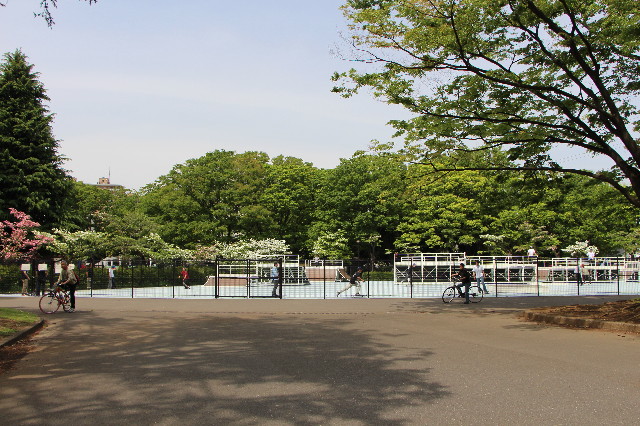 ファイル 5684-5.jpg