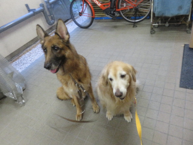 ファイル 5688-2.jpg