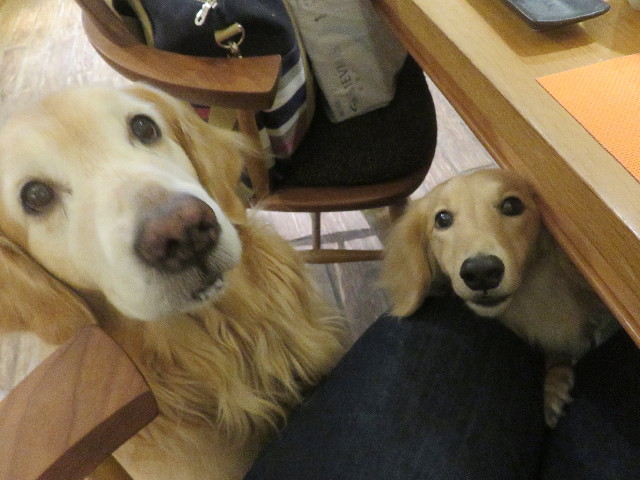 ファイル 5688-4.jpg