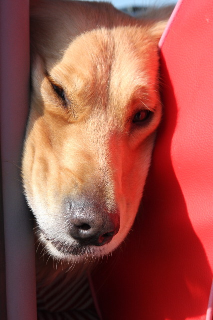 ファイル 569-5.jpg