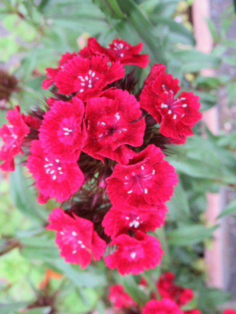 ファイル 5694-5.jpg