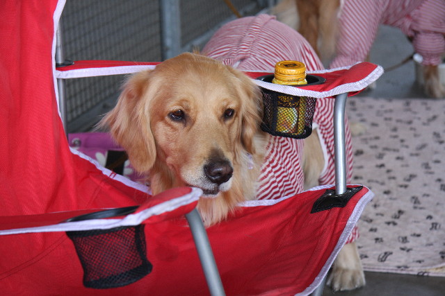 ファイル 570-5.jpg