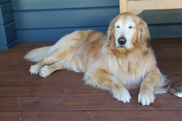 ファイル 5700-3.jpg