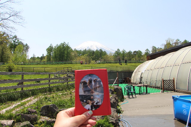 ファイル 5701-3.jpg