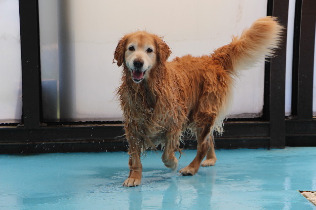 ファイル 5701-4.jpg