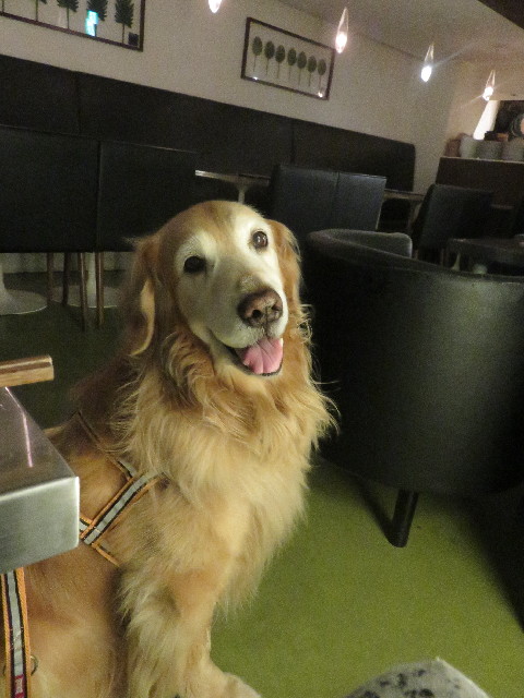 ファイル 5707-1.jpg