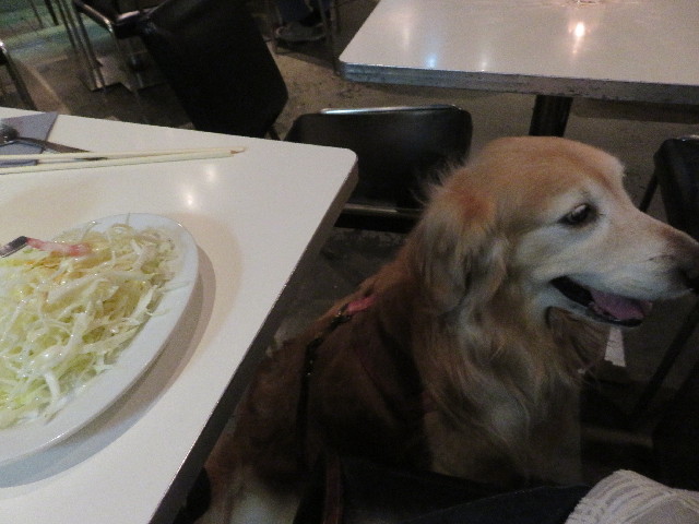 ファイル 5707-2.jpg