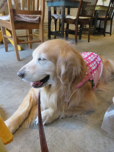 ファイル 5707-3.jpg