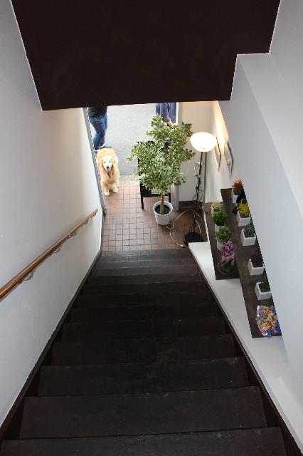 ファイル 5708-2.jpg