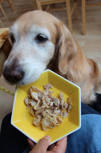 ファイル 5708-5.jpg