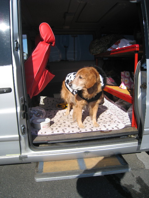 ファイル 571-4.jpg