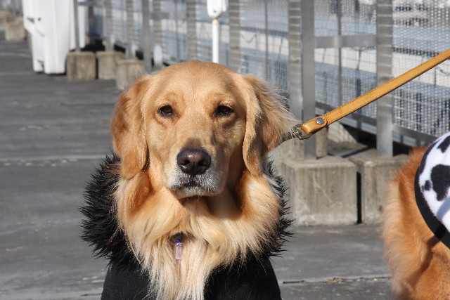 ファイル 571-5.jpg