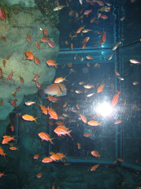 ファイル 572-2.jpg