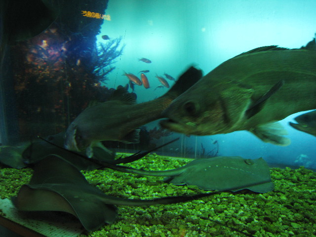 ファイル 572-3.jpg