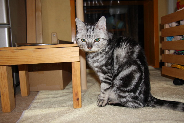 ファイル 572-5.jpg