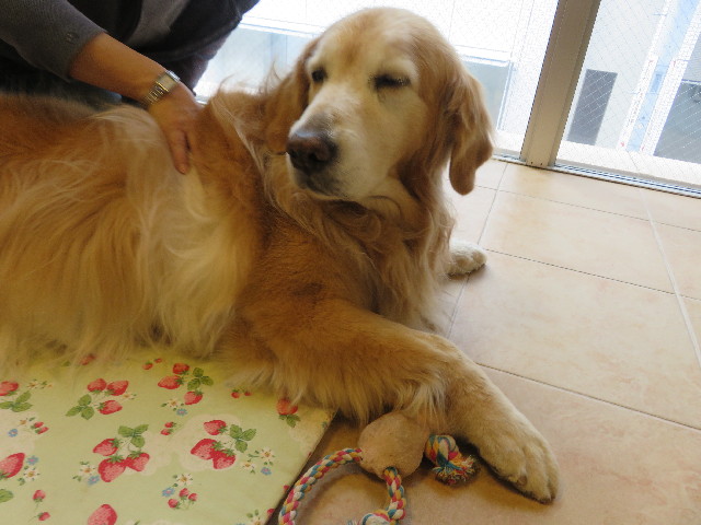 ファイル 5733-5.jpg