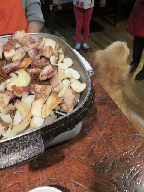 ファイル 5736-2.jpg