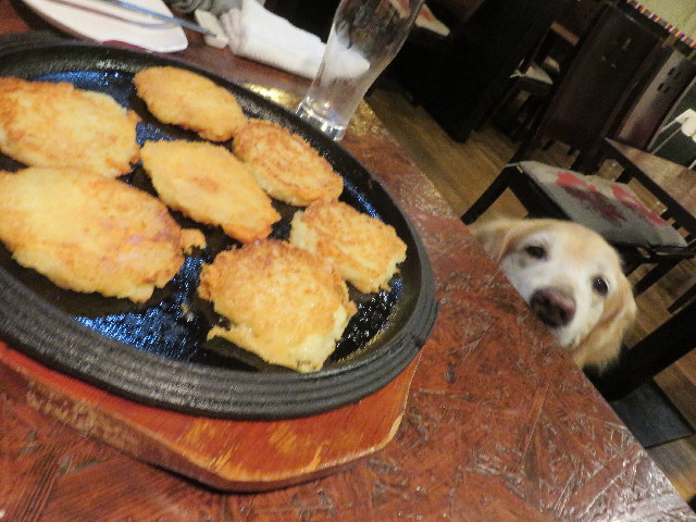 ファイル 5736-3.jpg