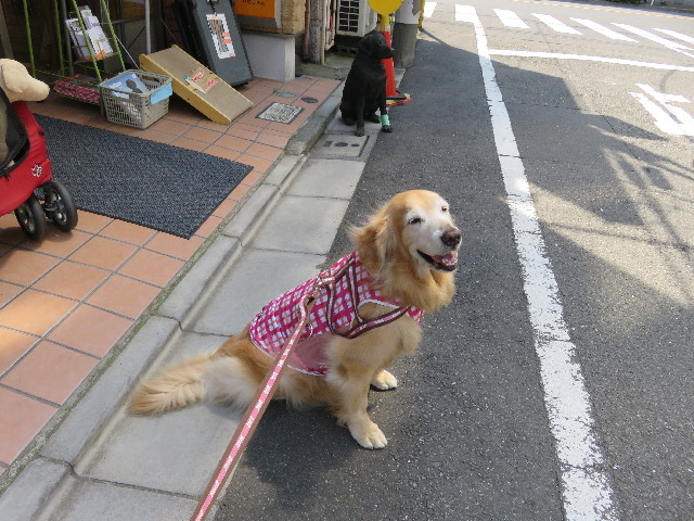 ファイル 5737-1.jpg