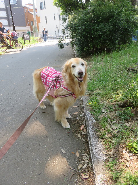 ファイル 5737-2.jpg