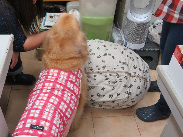 ファイル 5737-3.jpg