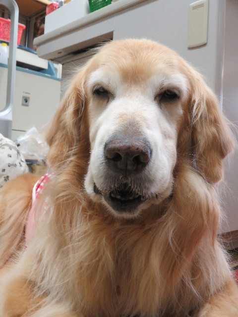 ファイル 5737-4.jpg