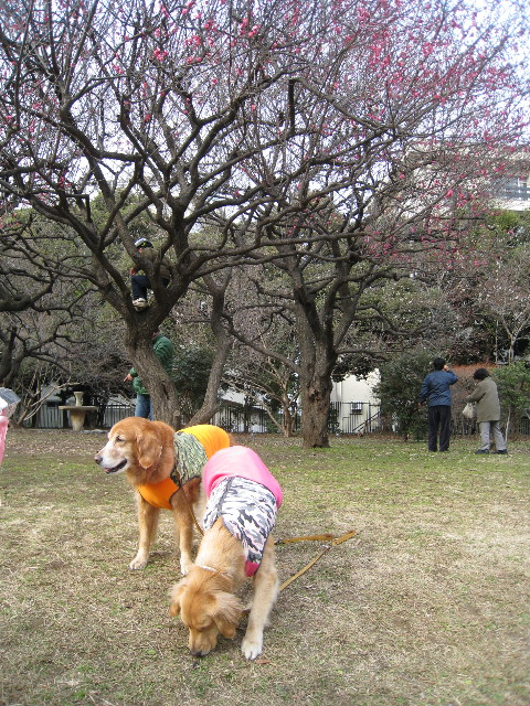 ファイル 574-3.jpg