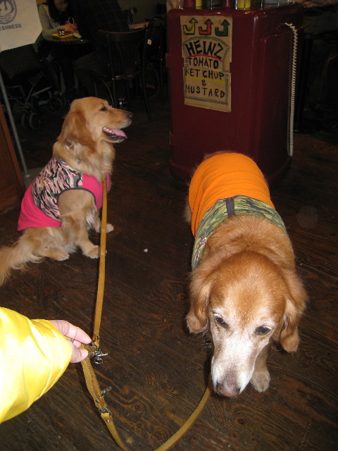 ファイル 574-5.jpg