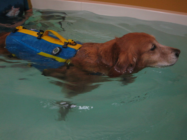 ファイル 575-1.jpg