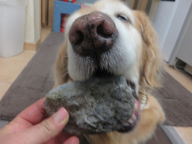 ファイル 5755-4.jpg