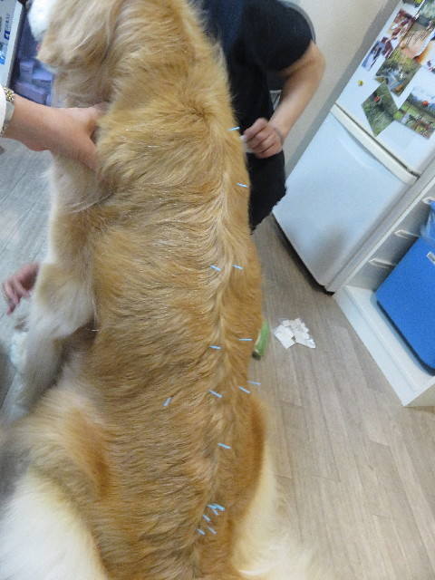 ファイル 5757-1.jpg