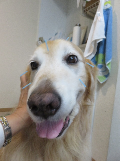 ファイル 5757-4.jpg