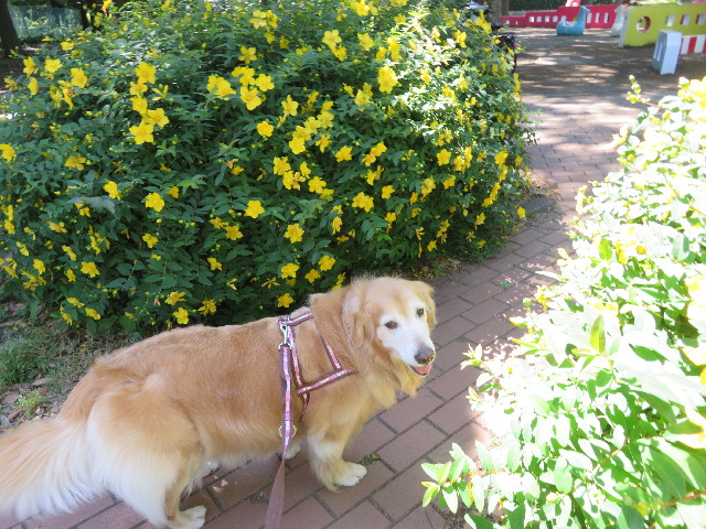 ファイル 5759-3.jpg