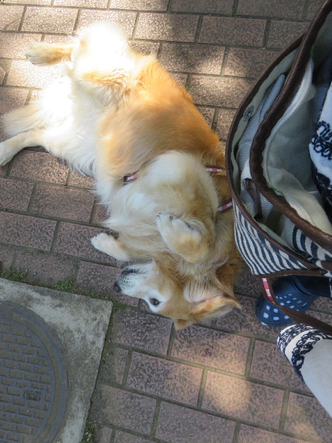 ファイル 5759-4.jpg