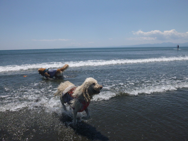 ファイル 5760-5.jpg