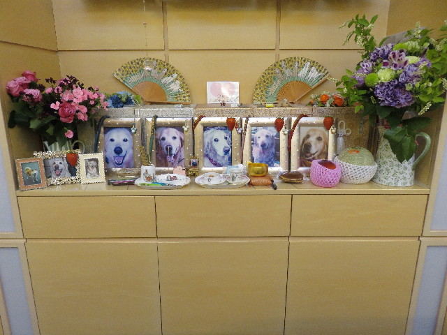 ファイル 5761-5.jpg